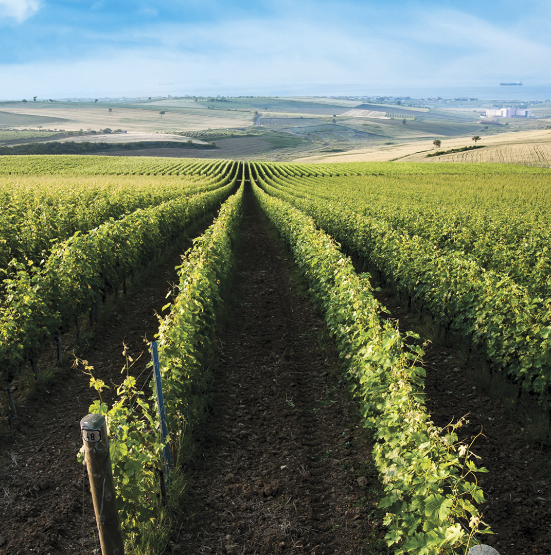 "320 Sustainability Projects" By Mey|Diageo
