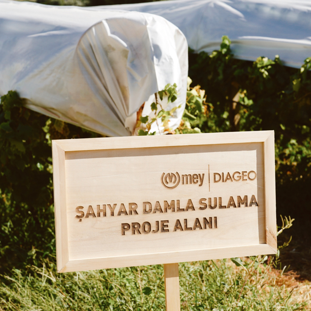 Damla Sulama Projesi’yle Bağlarda %50 Su Tasarrufu