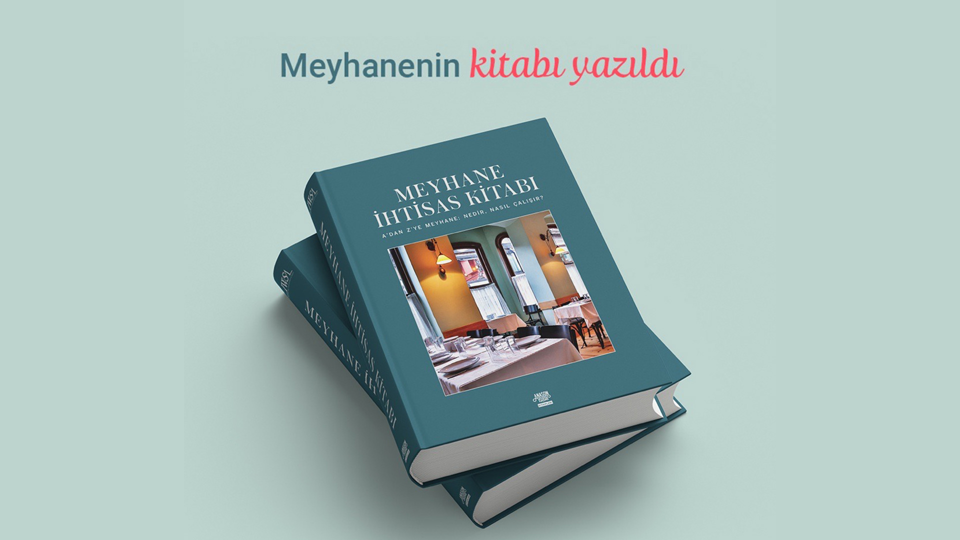 meyhane ihtisas kitabı