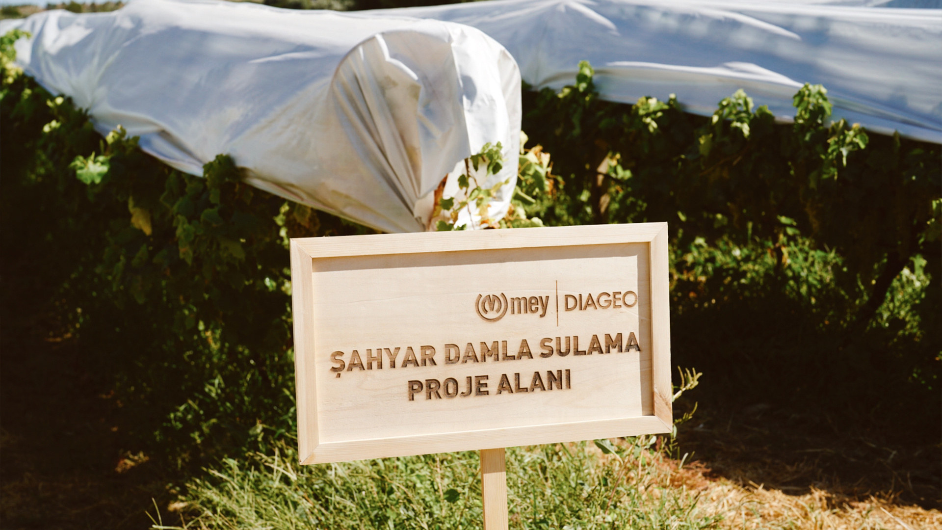 Damla Sulama Projesi’yle Bağlarda %50 Su Tasarrufu