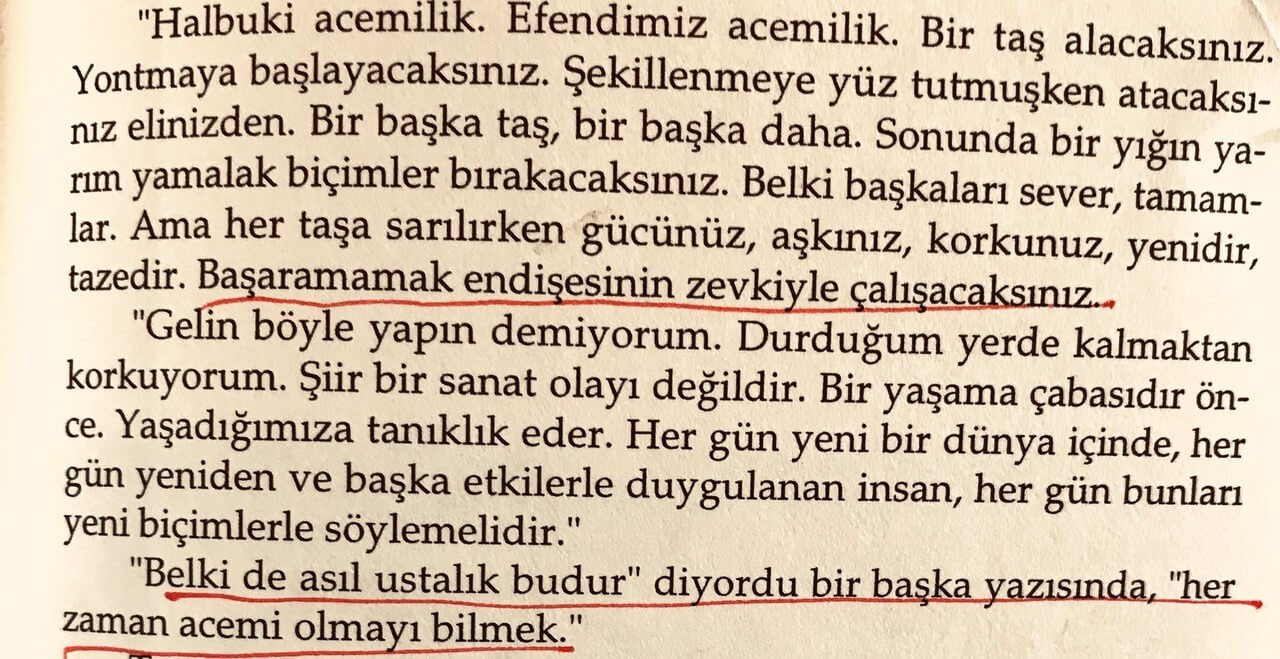 Yaşadıklarımdan Öğrendiğim Bir Şey(ler) Var (5)